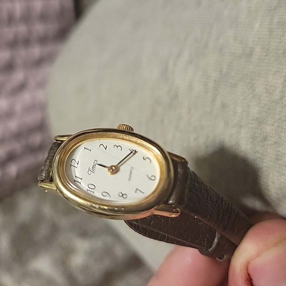 Timex Gold and Brown Women's Watch